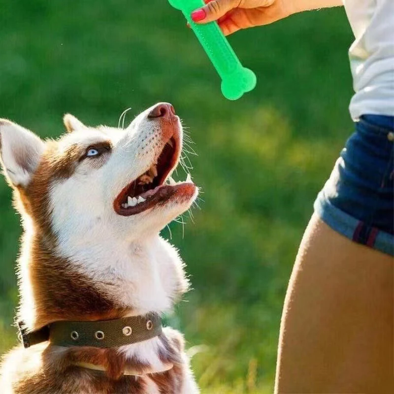 Training Clicker Dog - Super Tough Dog Bone Chew Toy