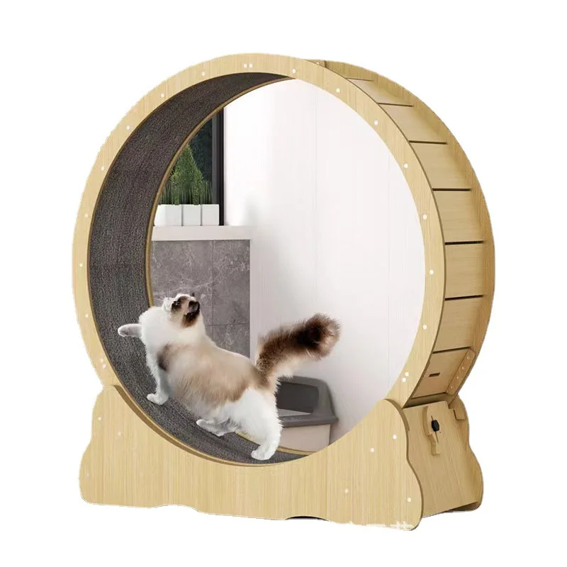 Interactive Cat Toy - Cat fitness wheel indoor toy cat