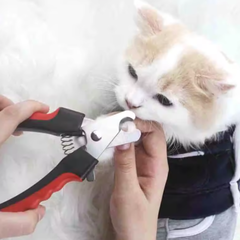 Professional Pet Nail Clippers - Dog Grooming Clippers review and price