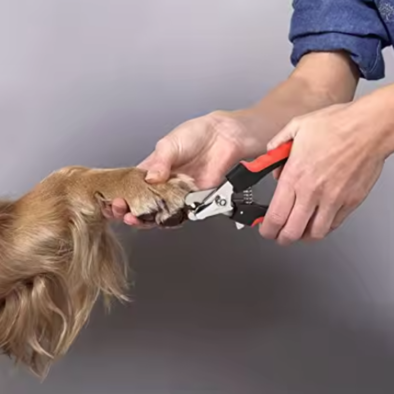 Professional Pet Nail Clippers - Dog Grooming Clippers review and price