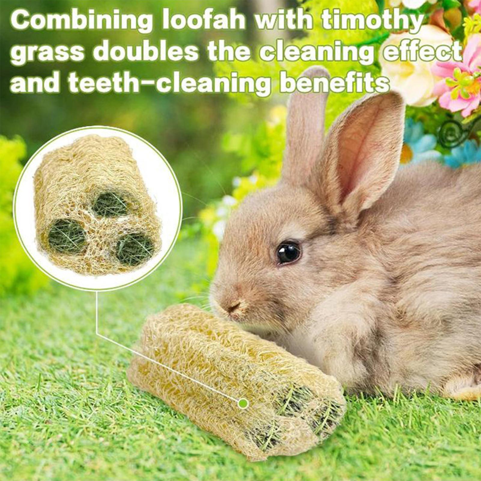 Chew Toys For Bunnies 4 Pieces - Pet Supplies Pet Shop review and price