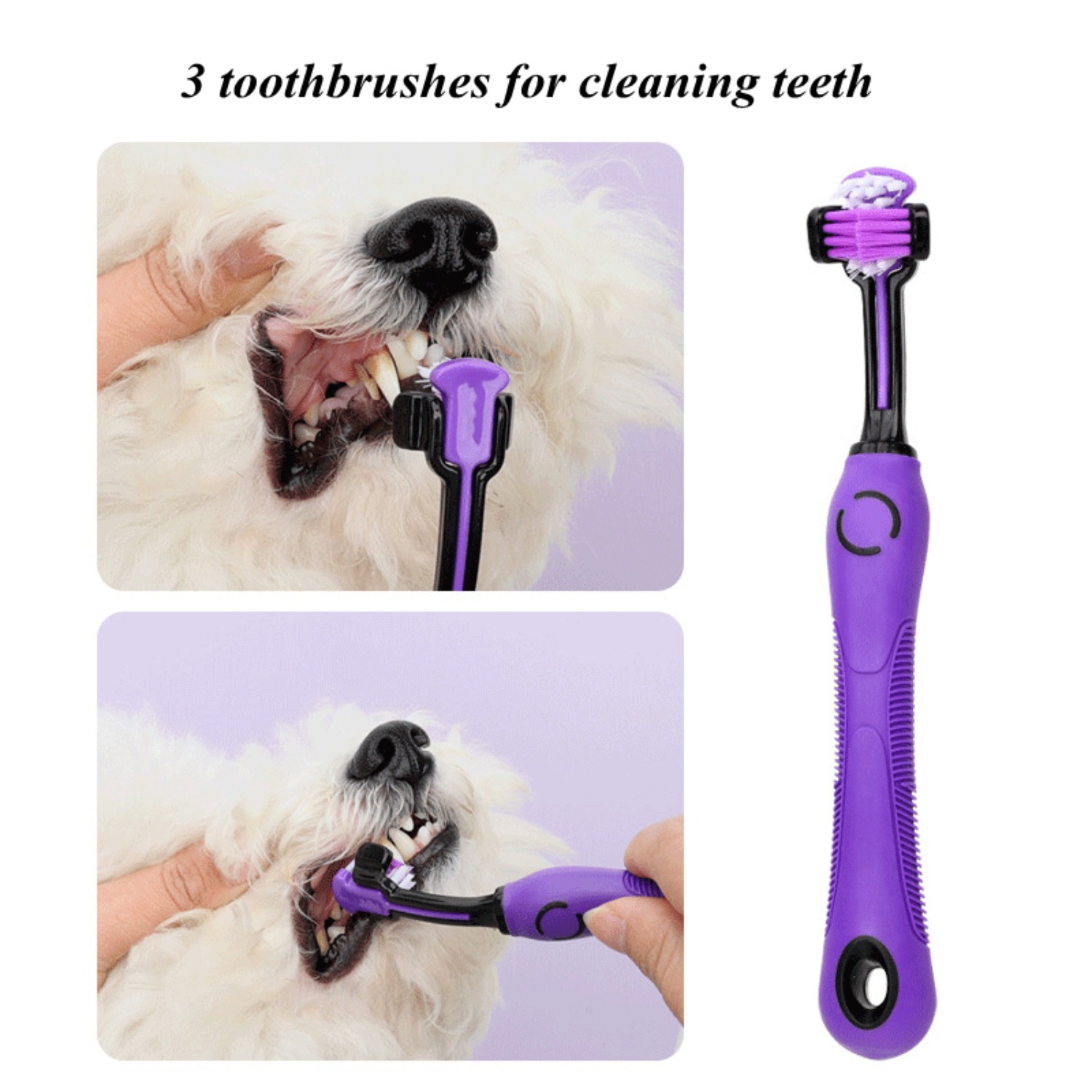 9Pcs Complete Pet Grooming Set - Dog Grooming Clippers review and price
