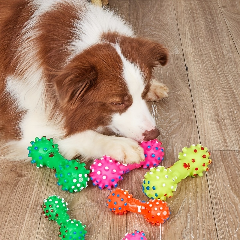 Dog Toys For Large Dogs 1 PC L - Pet Supplies Pet Shop review and price
