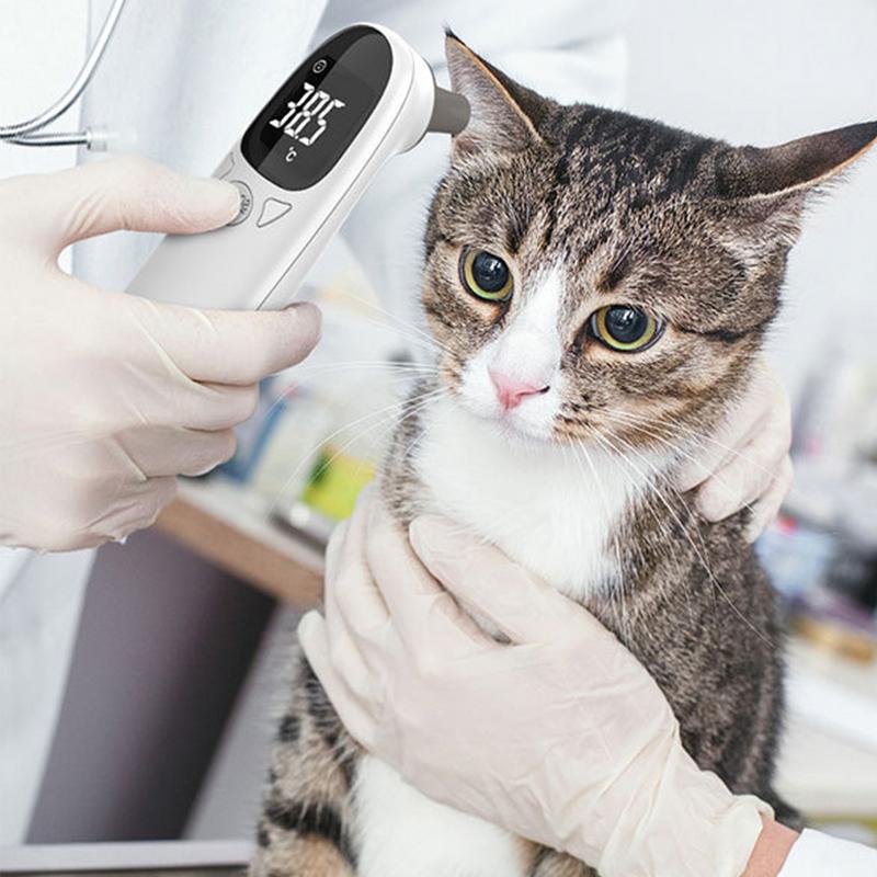 Pet Thermometers For Dogs Vet  - Pet Supplies Vet review and price