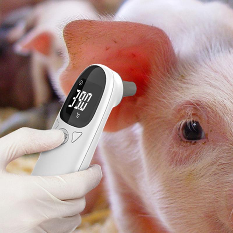 Pet Thermometers For Dogs Vet  - Pet Supplies Vet review and price