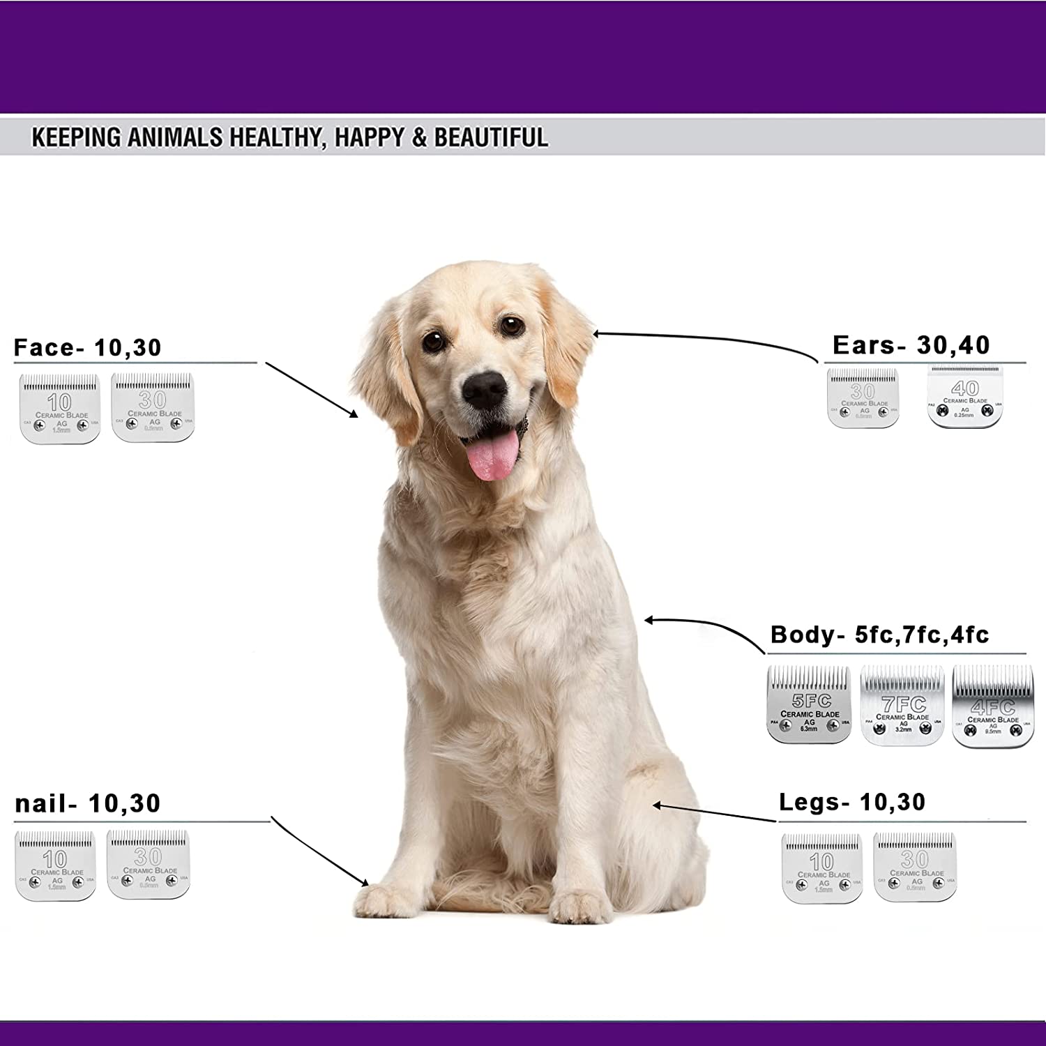 5FC Detachable Pet Dog Cat Gro - Dog Grooming Clippers review and price