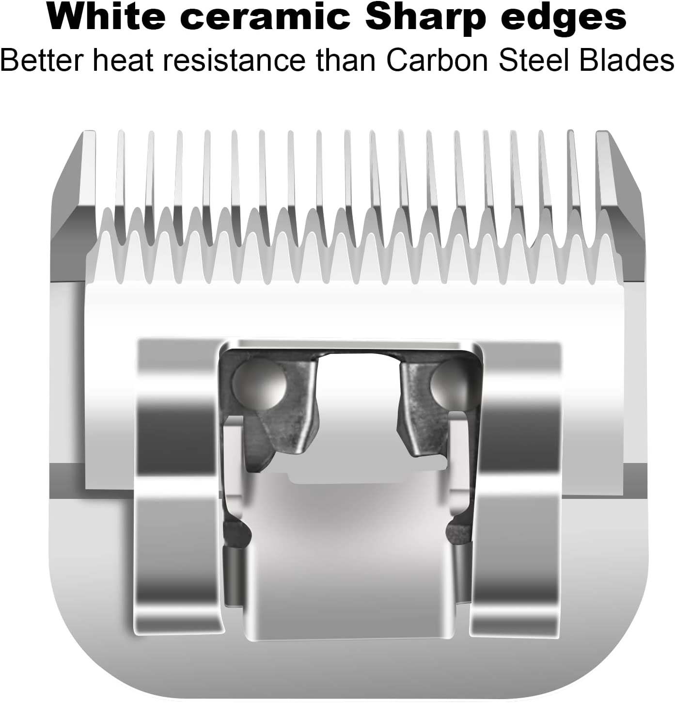 5FC Detachable Pet Dog Cat Gro - Dog Grooming Clippers review and price