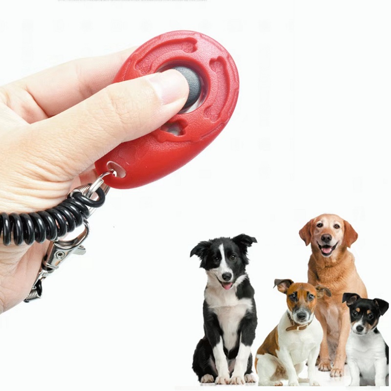 Adjustable Wrist Band Pet Trai - Training Clicker Dog review and price