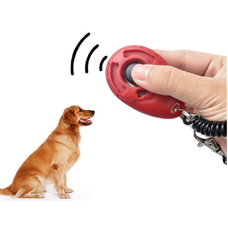 Adjustable Wrist Band Pet Trai - Training Clicker Dog review and price