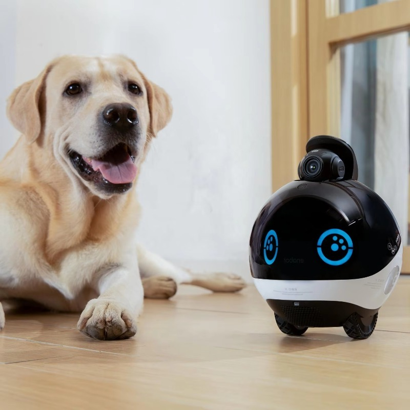 Smart Family Robot HD Monitori - Interactive Cat Toy review and price