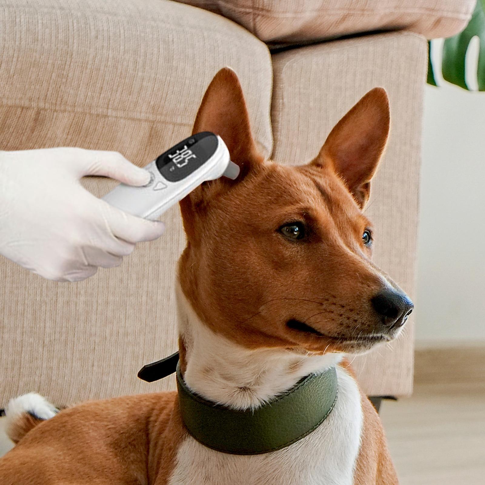 Dog Cat Ear Thermometer Medica - Pet Supplies Vet review and price