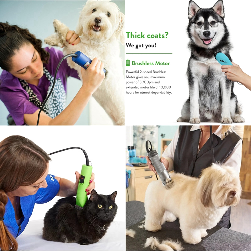 A5 blade fit for Andis & Oster - Dog Grooming Clippers review and price