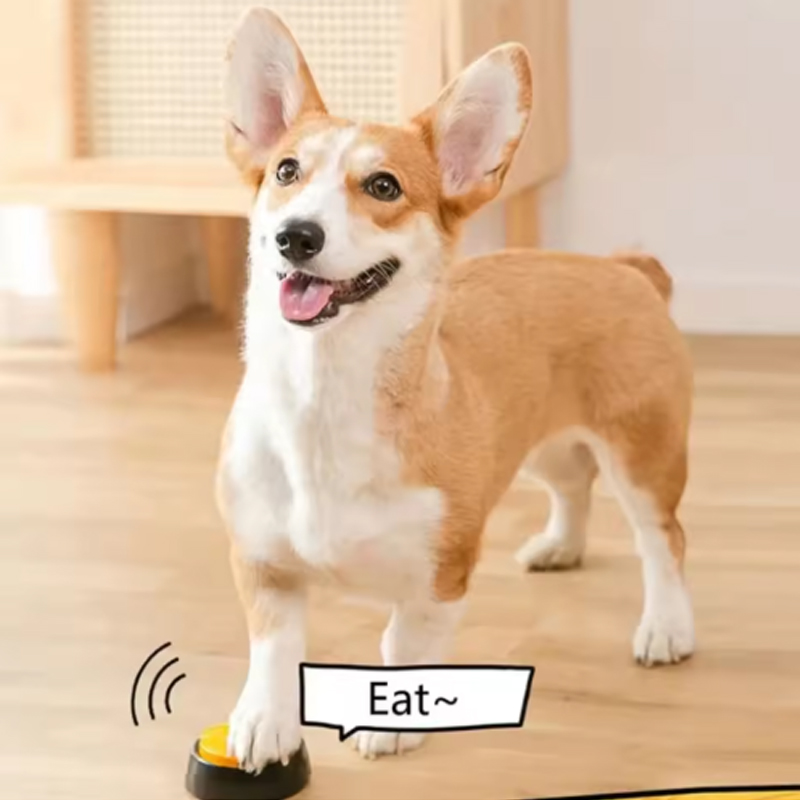 Dog Communication Buttons Voic - Training Clicker Dog review and price