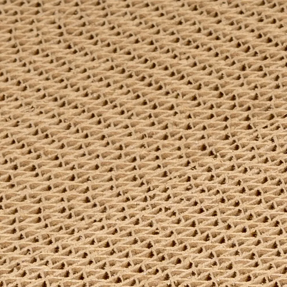 Corrugated Cardboard Sushi Rol - Interactive Cat Toy review and price