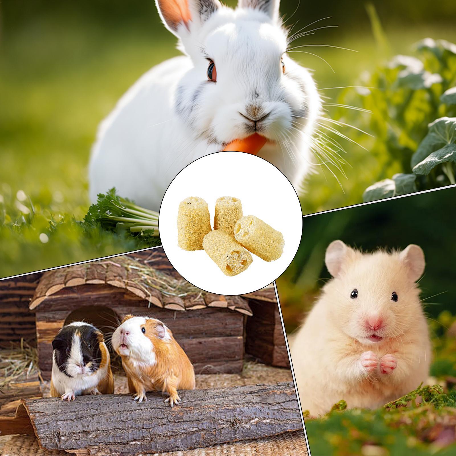 Chew Toys For Bunnies 4 Pieces - Pet Supplies Pet Shop review and price