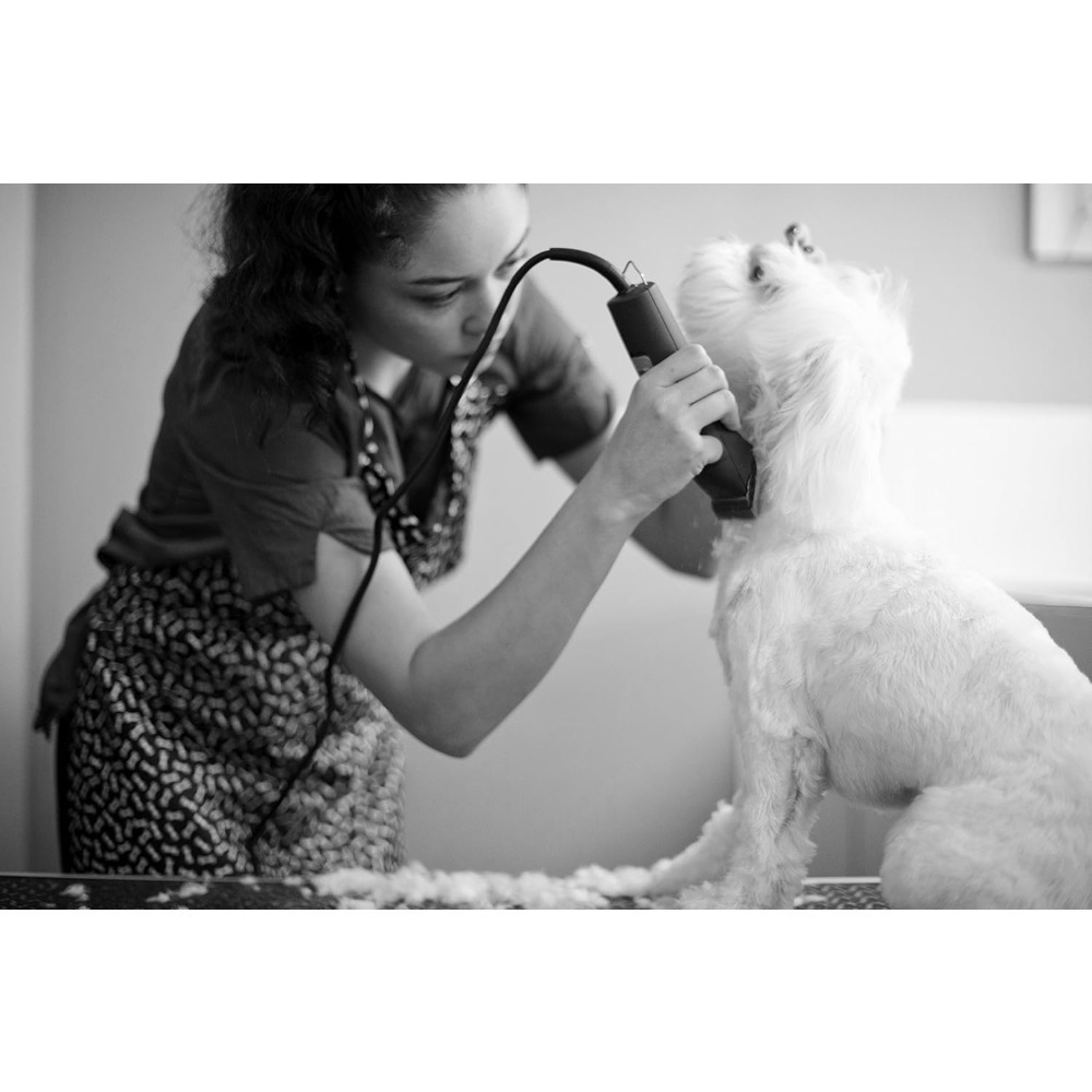 Outdoor Furniture UltraEdge Su - Dog Grooming Clippers review and price