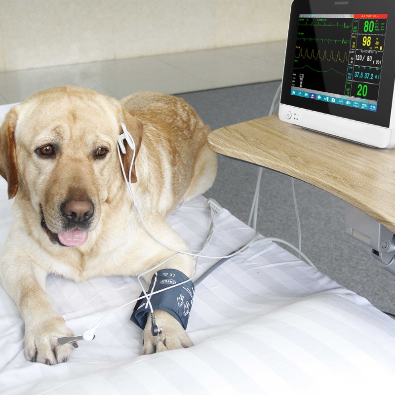 Veterinary Pet Touch Screen Po - Pet Supplies Vet review and price